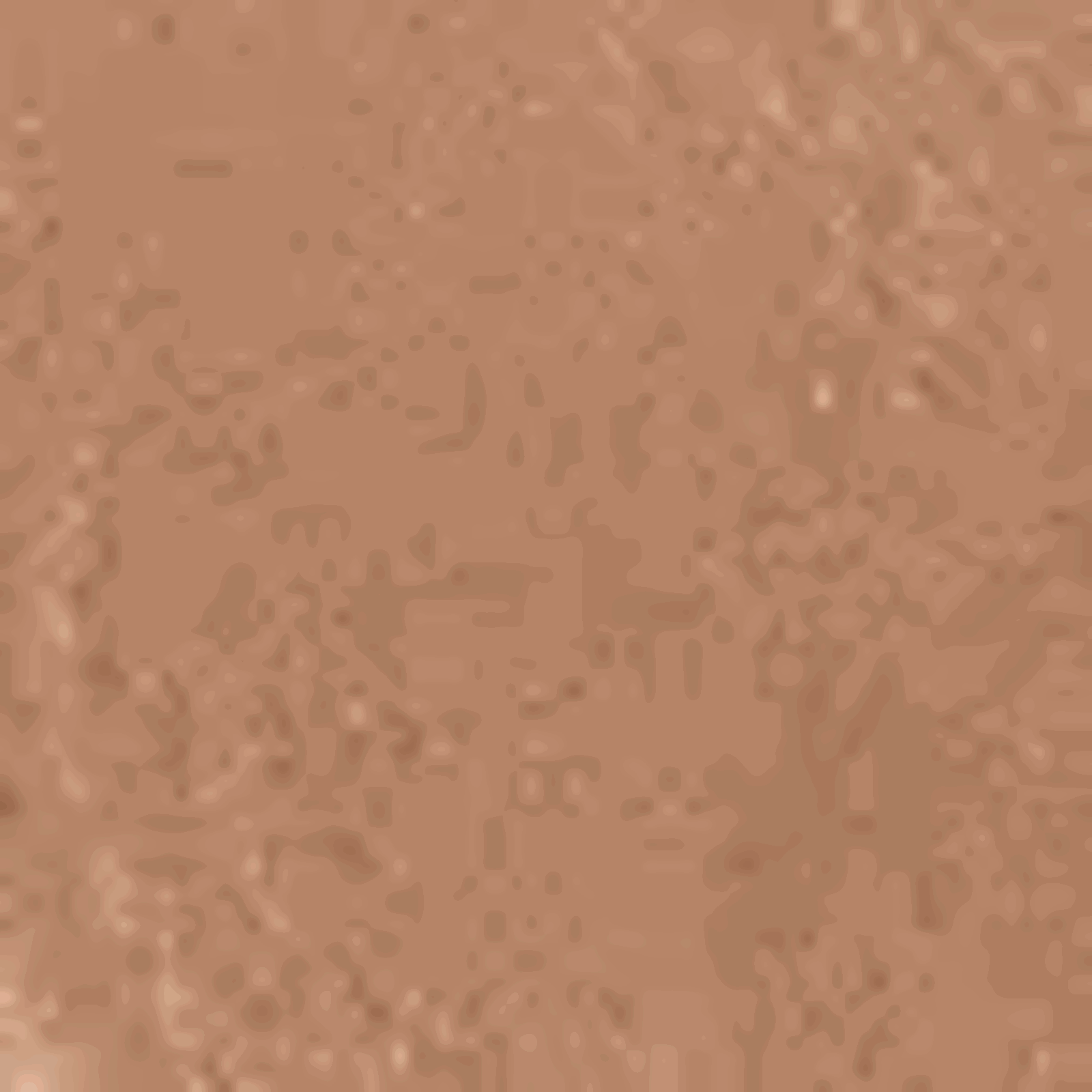 1002877